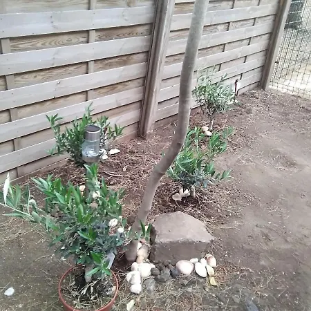 Avec Jardin, Piscine, Sauna, Proche De La Et Du Village Naturiste Appartement Agde