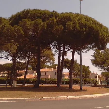 Avec Jardin, Piscine, Sauna, Proche De La Et Du Village Naturiste * Agde